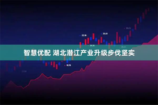 智慧优配 湖北潜江产业升级步伐坚实